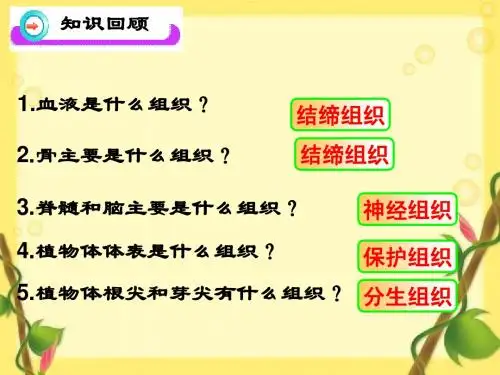 北师大版生物七年级上册4章2节生物体的器官系统精品课件