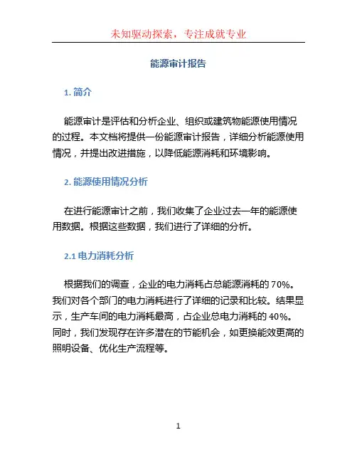 能源审计报告