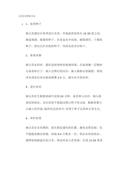 豆苗水培种植方法