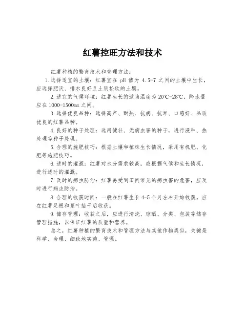 红薯控旺方法和技术