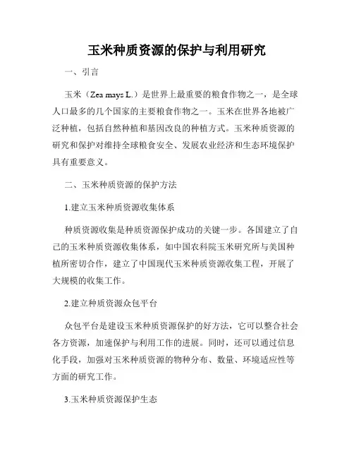 玉米种质资源的保护与利用研究