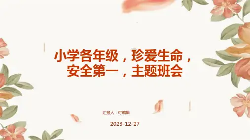 小学各年级, 珍爱生命,安全第一,主题班会ppt