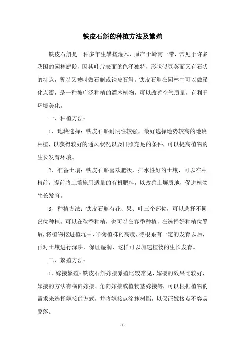 铁皮石斛的种植方法及繁殖
