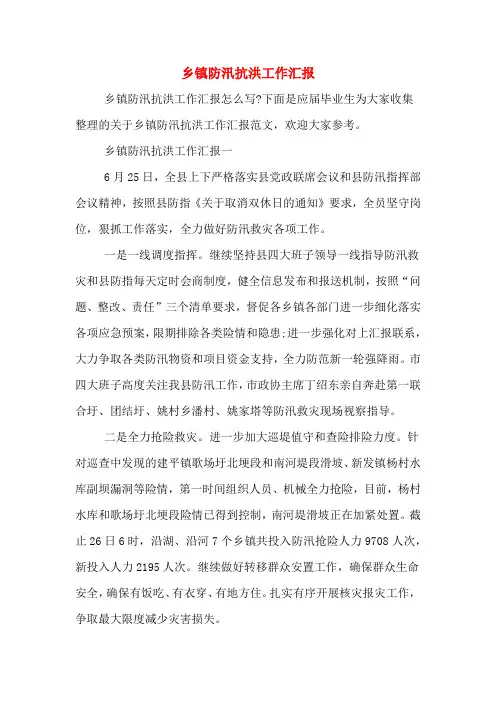 2019年乡镇防汛抗洪工作汇报