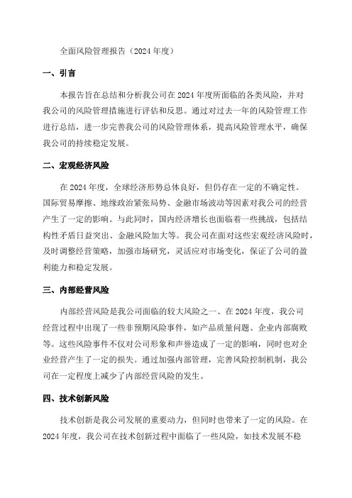 2024年度全面风险管理报告