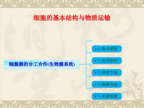 生物膜系统专项复习.PPT(共19张PPT)