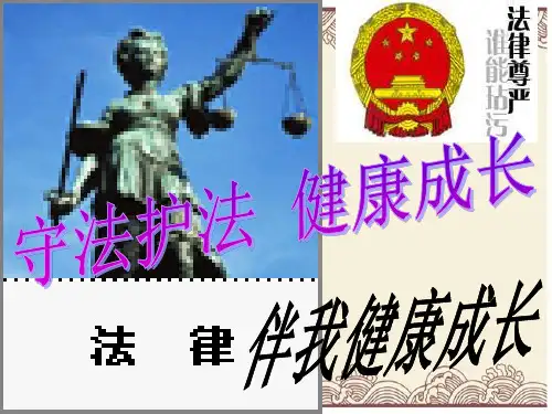初中政治  法律伴我们健康成长 湘教版  优秀公开课件