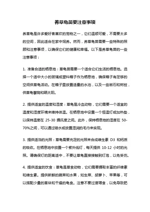 养草龟苗要注意事项