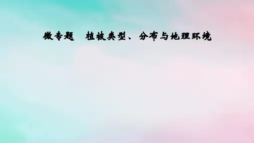 2025版新教材高中地理第5章微专题植被类型分布与地理环境课件新人教版选择性必修1