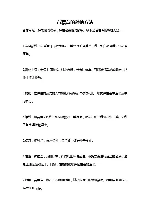 苜蓿草的种植方法