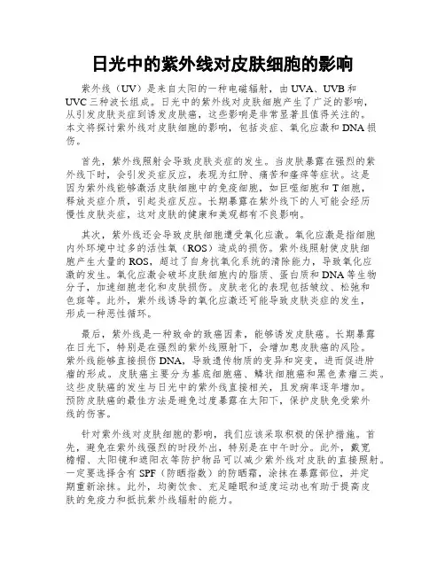 日光中的紫外线对皮肤细胞的影响
