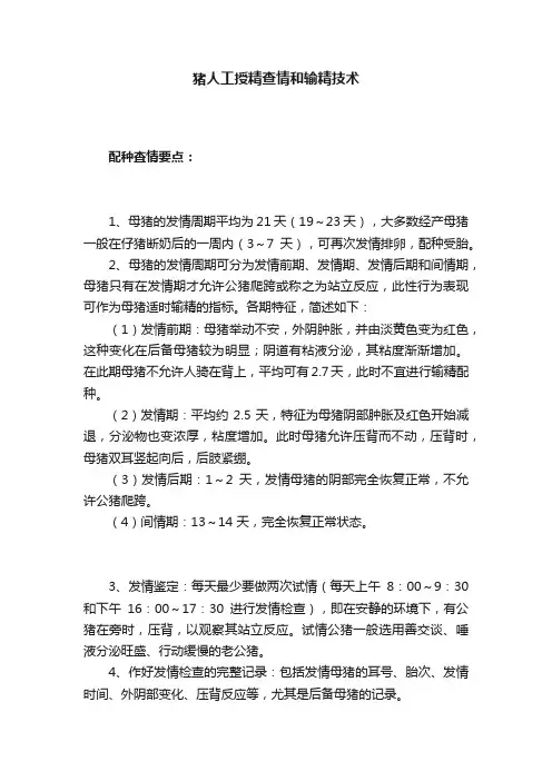 猪人工授精查情和输精技术