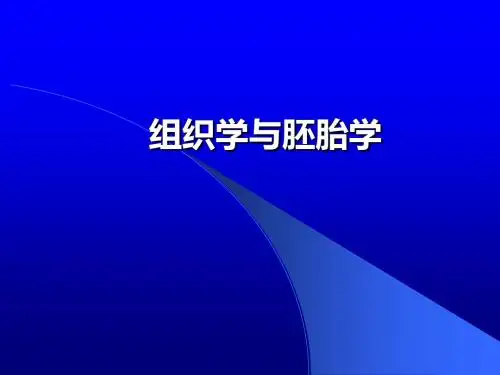 最新-组织胚胎学结缔组织-PPT文档资料