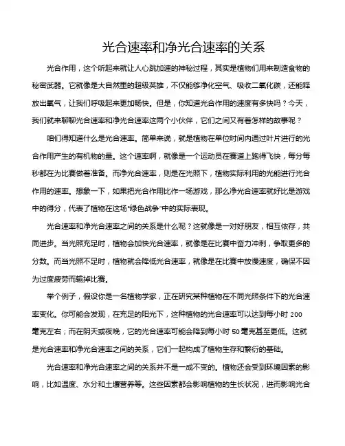 光合速率和净光合速率的关系