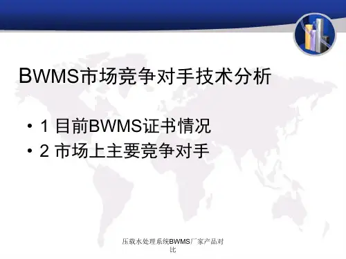 压载水处理系统BWMS厂家产品对比 ppt课件