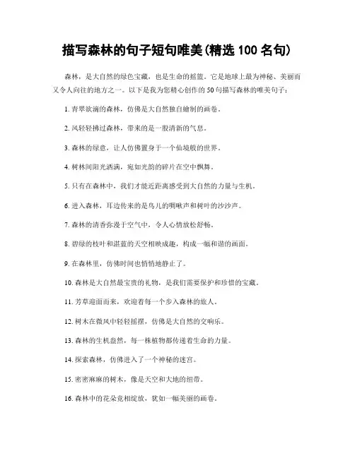 描写森林的句子短句唯美(精选100句)