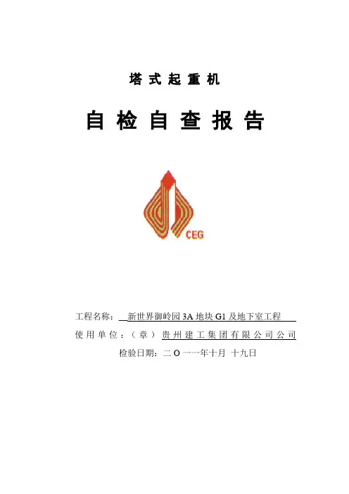 塔吊自检报告