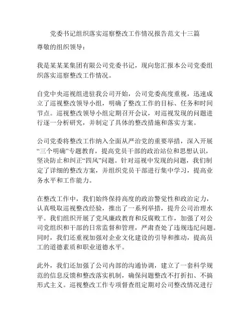 党委书记组织落实巡察整改工作情况报告范文十三篇