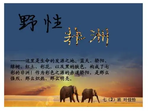 野性非洲