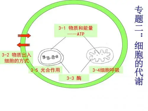 2018浙科版高中生物必修一第三章 细胞的代谢期末复习 PPT课件