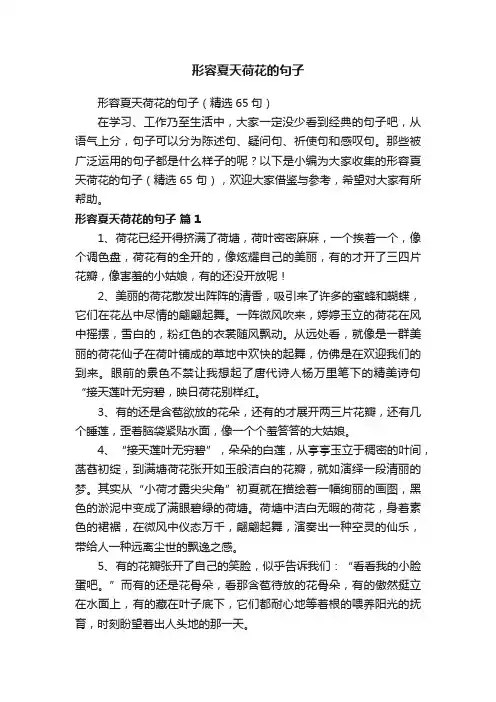 形容夏天荷花的句子