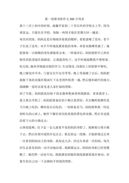 那一刻那身影作文800字母亲