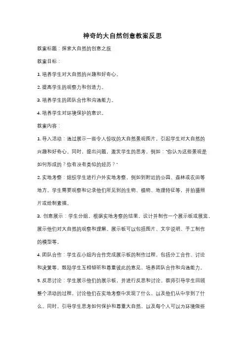 神奇的大自然创意教案反思