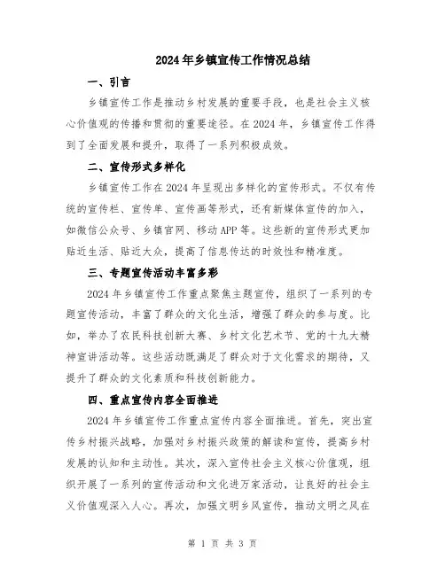 2024年乡镇宣传工作情况总结