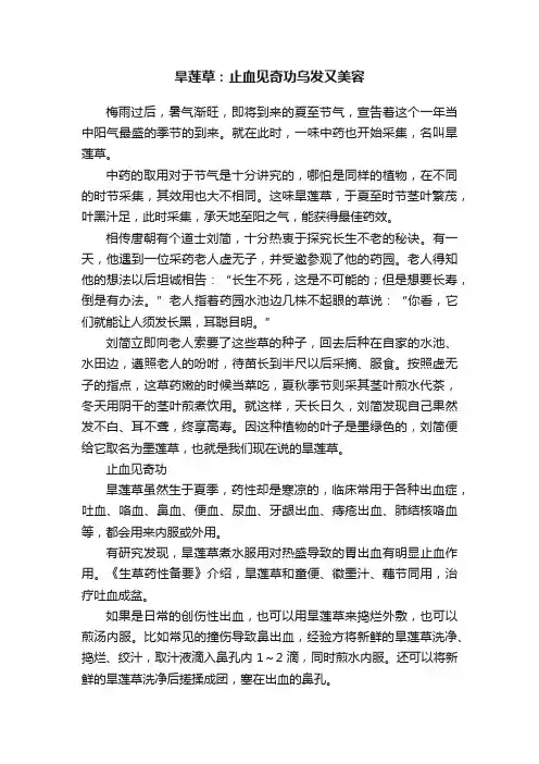 旱莲草：止血见奇功乌发又美容