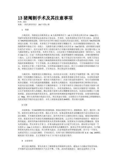 13猪阉割手术及其注意事项