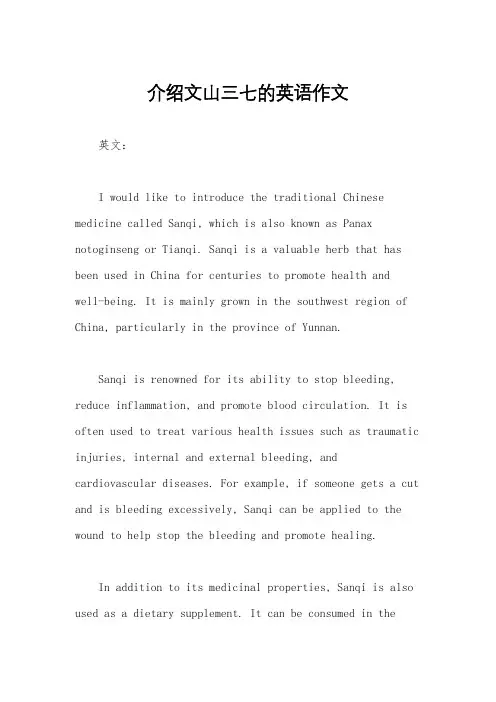 介绍文山三七的英语作文