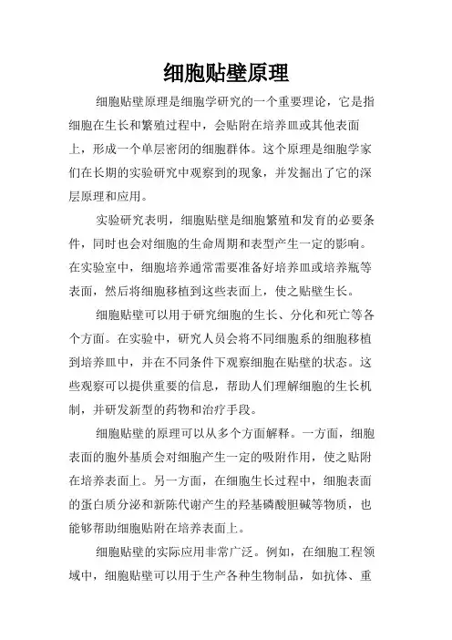 细胞贴壁原理