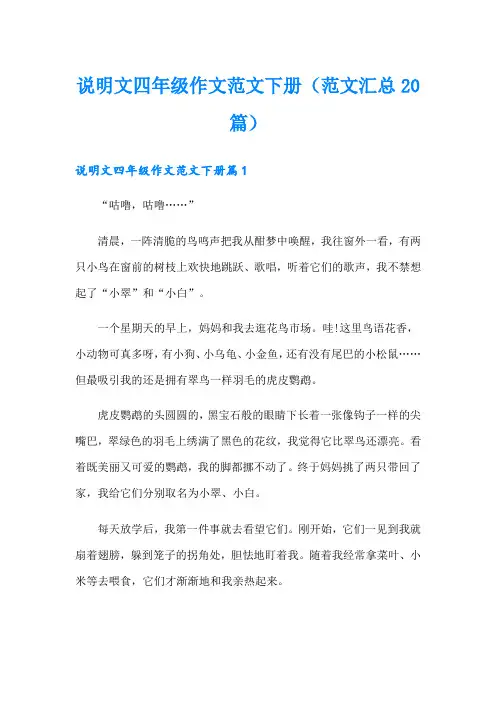 说明文四年级作文范文下册(范文汇总20篇)