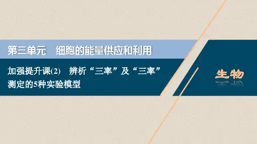 2021版高考生物(人教版)一轮复习课件：第三单元 加强辨析“三率”及“三率”测定的5种实验模型