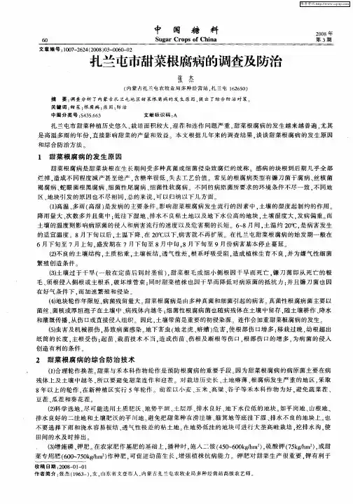 扎兰屯市甜菜根腐病的调查及防治