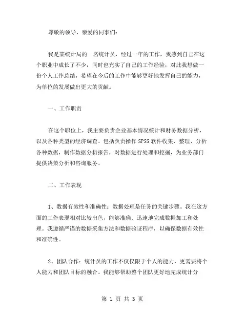 统计员个人工作总结范文