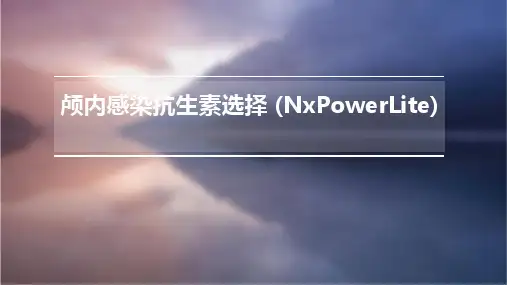 颅内感染抗生素选择 (NXPowerLite)