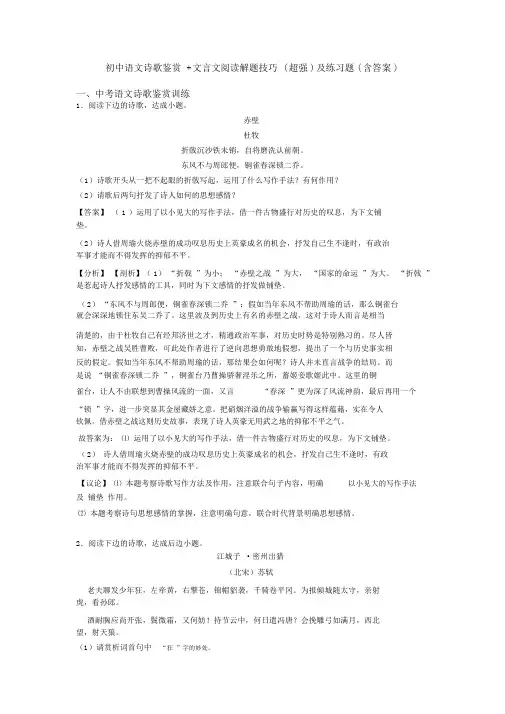 初中语文诗歌鉴赏+文言文阅读解题技巧(超强)及练习题(含答案)