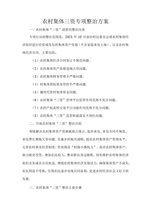 农村集体三资专项整治方案