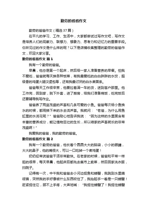 勤劳的爸爸作文