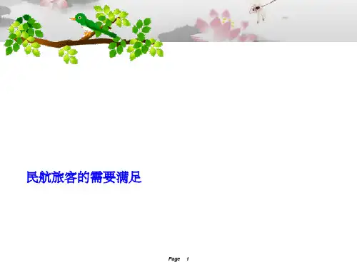 民航旅客需要
