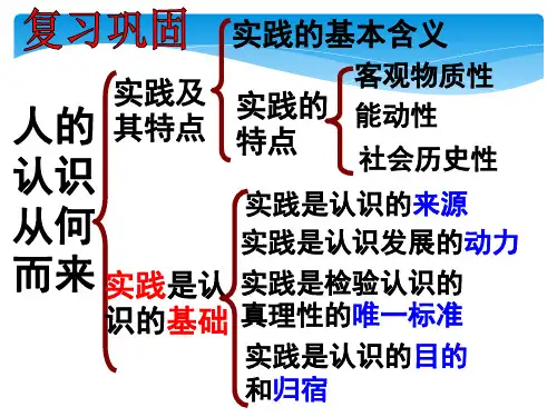 人教版高中政治必修4生活与哲学6.2在实践中检验和发展真理