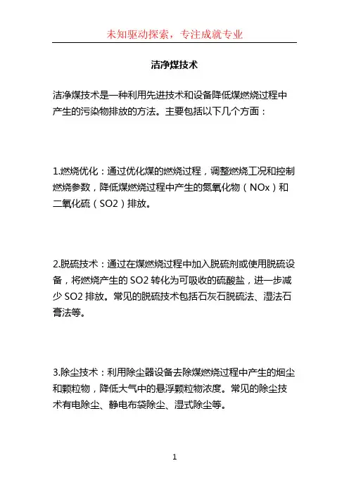 洁净煤技术