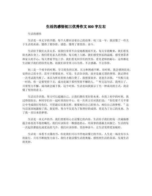 生活的感悟初三优秀作文800字左右
