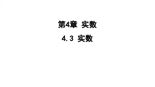 4.3实数课件苏科版数学八年级上册