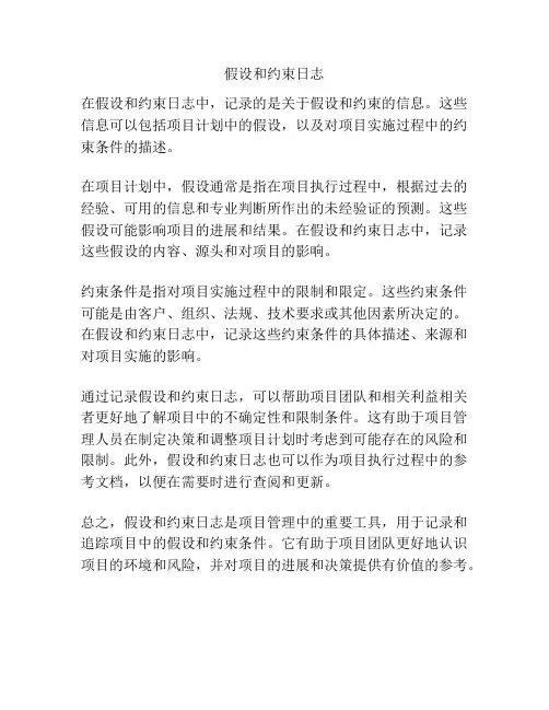 假设和约束日志