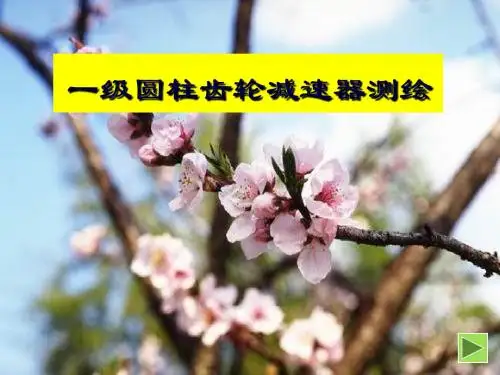 一级齿轮减速器装配图测绘课件-PPT精选文档