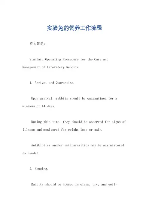 实验兔的饲养工作流程