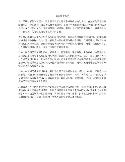 解剖期末总结