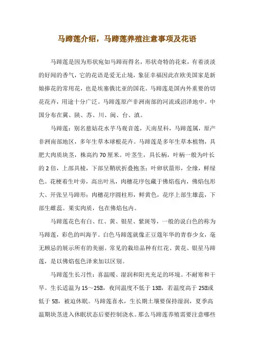 马蹄莲介绍,马蹄莲养殖注意事项及花语